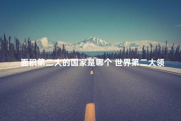 面积第二大的国家是哪个 世界第二大领土面积国家